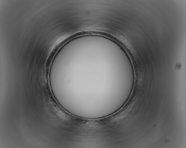 X0000090750974200708031604