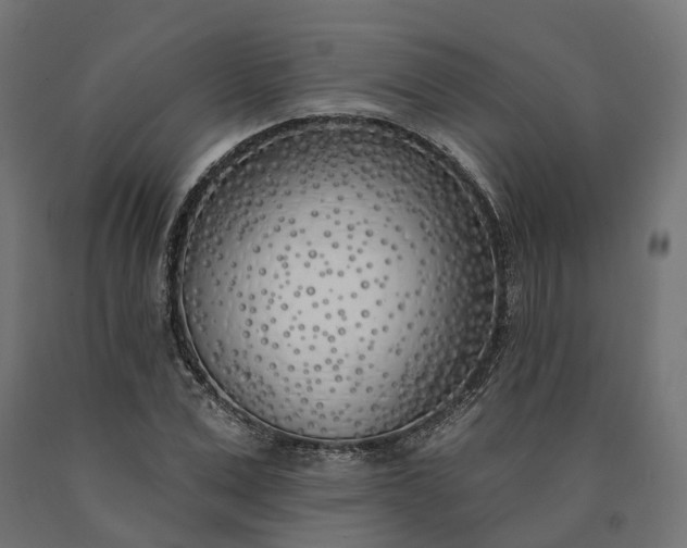 X0000090750975200708031604