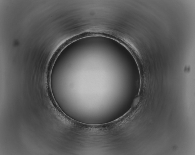 X0000090750976200708031604