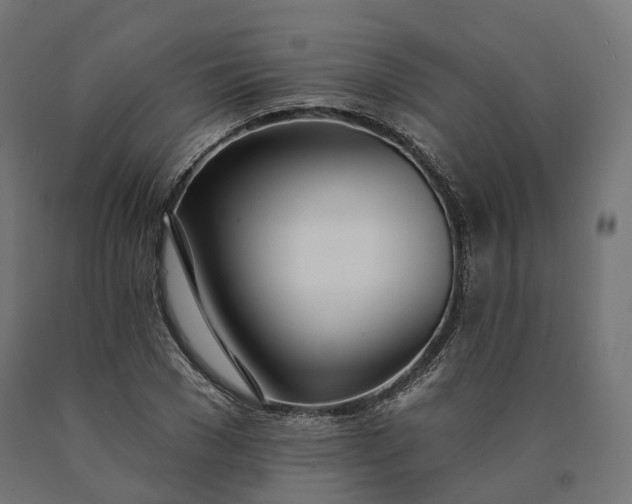 X0000090750977200708031604