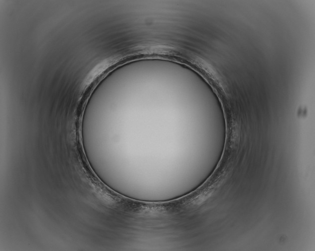 X0000090750978200708031604