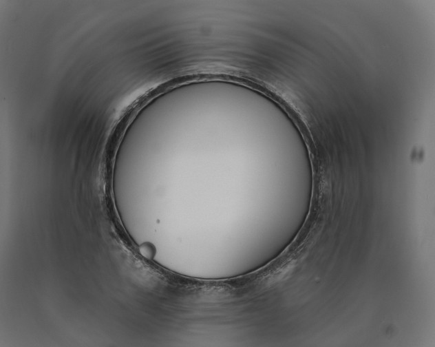 X0000090750979200708031604