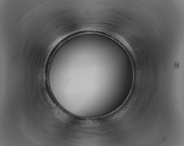 X0000090750980200708031604