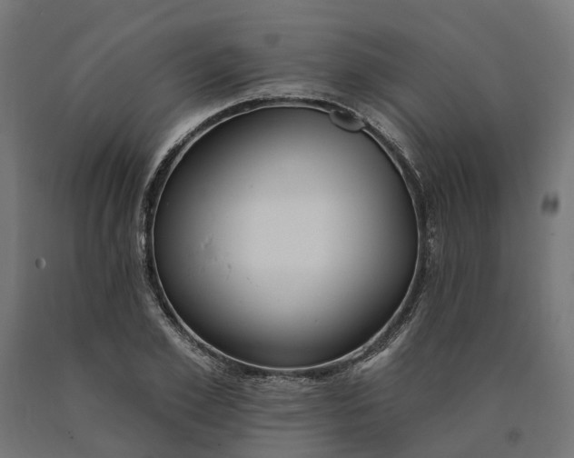 X0000090750981200708031604