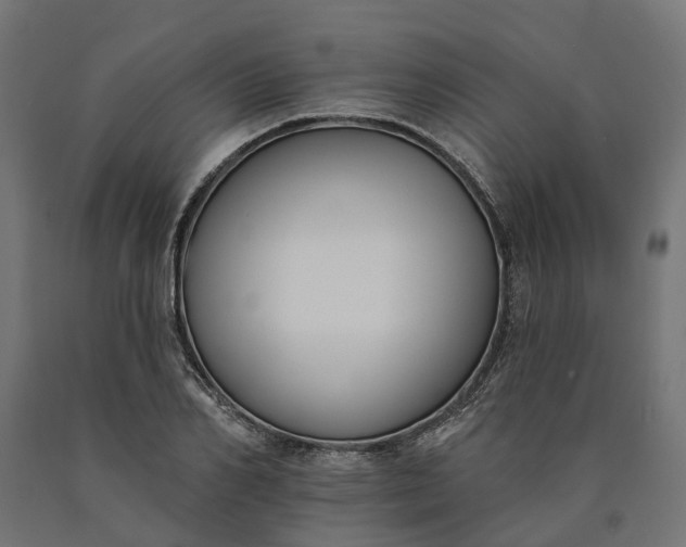 X0000090750982200708031604