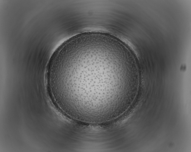 X0000090750983200708031604