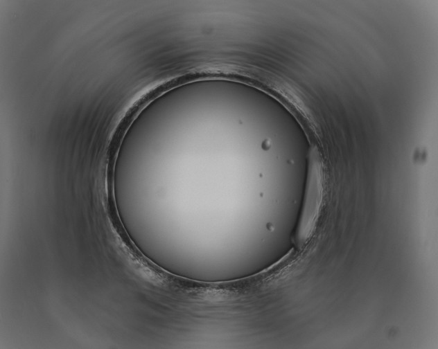 X0000090750984200708031604