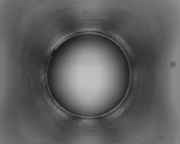 X0000090750985200708031604