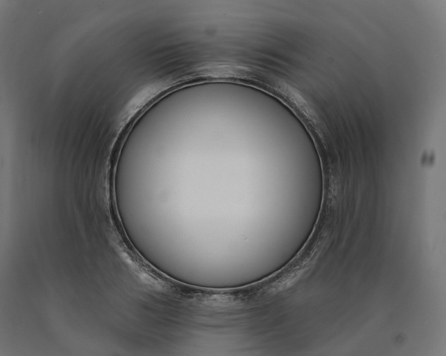 X0000090750986200708031604