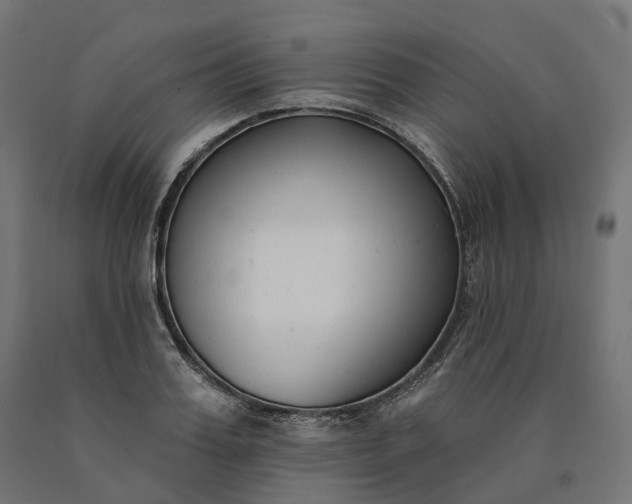 X0000090750987200708031604