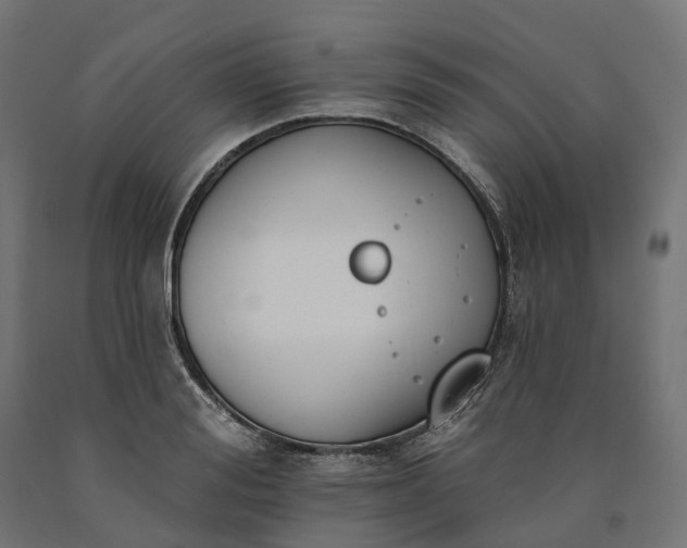 X0000090750988200708031604