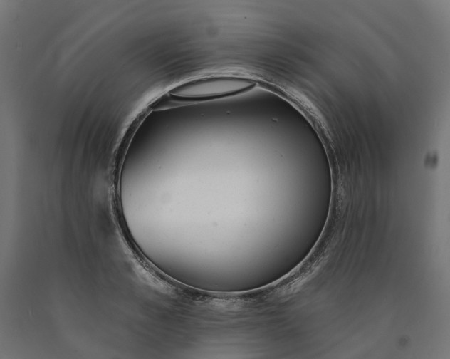 X0000090750989200708031604