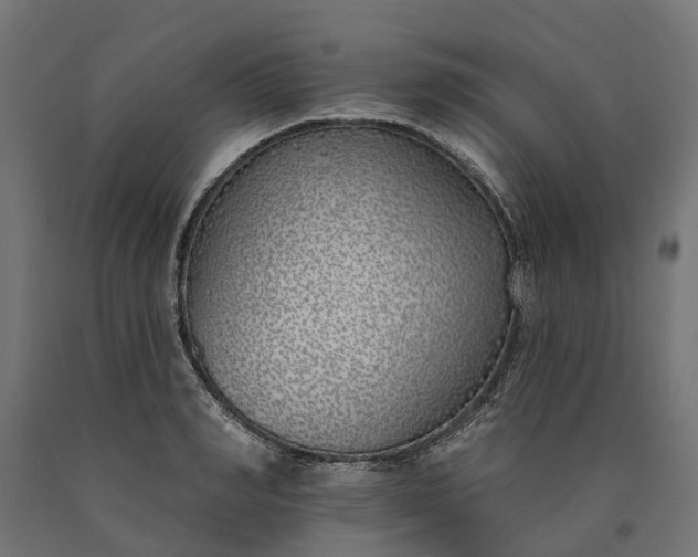 X0000090750990200708031604