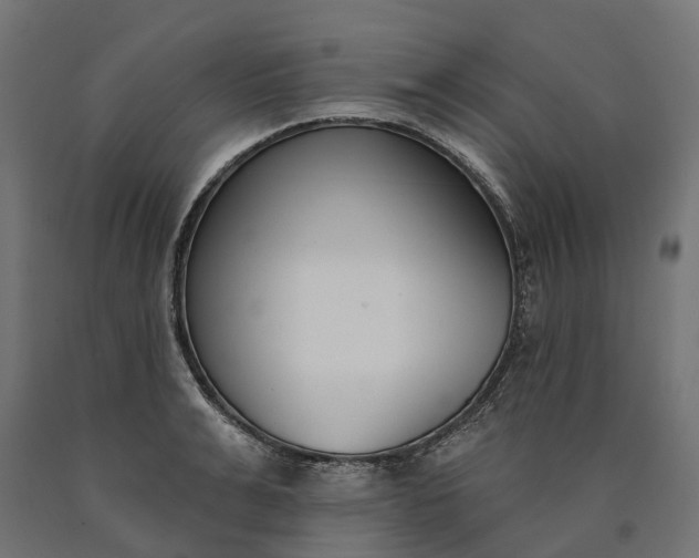 X0000090750991200708031603