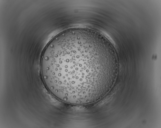 X0000090750994200708031603