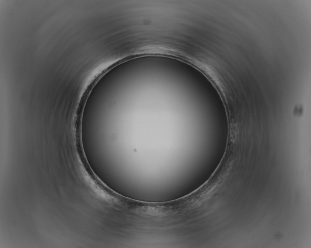 X0000090750995200708031603