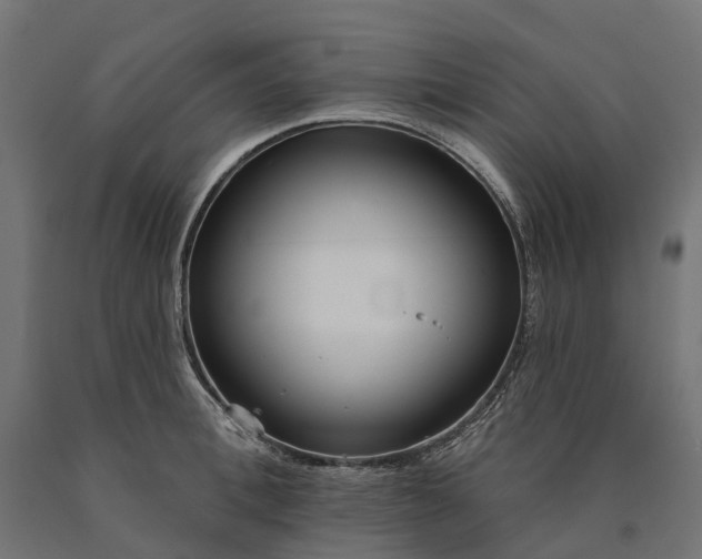 X0000090750996200708031603