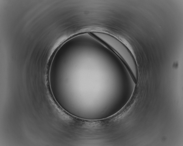 X0000090750997200708031603