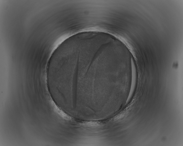 X0000090750998200708031603