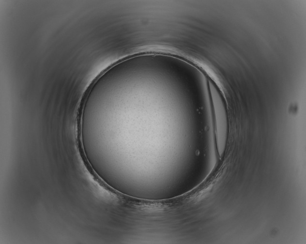 X0000090750999200708031603