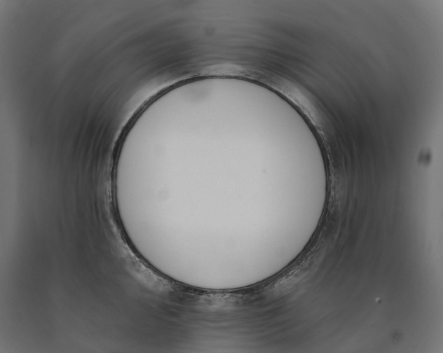 X0000090751000200708031603