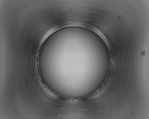 X0000090751002200708031603