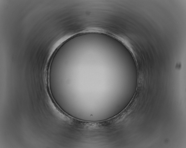 X0000090751003200708031603