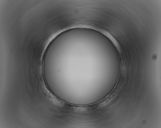 X0000090751004200708031603