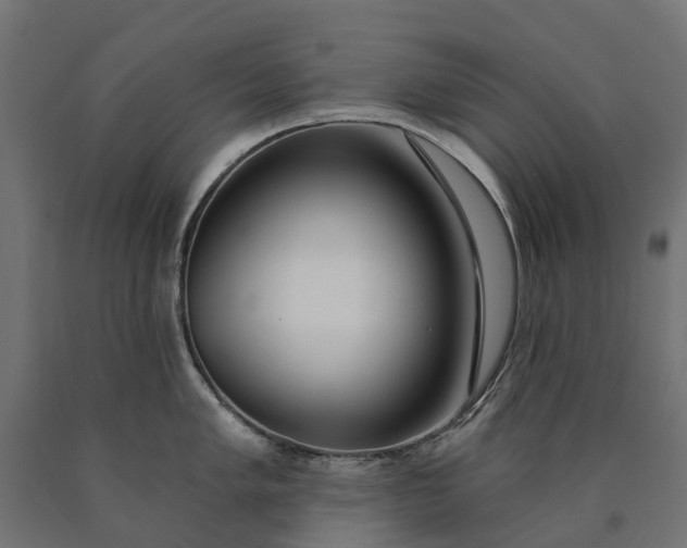 X0000090751005200708031603