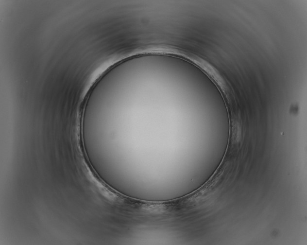 X0000090751006200708031603