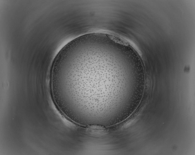 X0000090751007200708031603