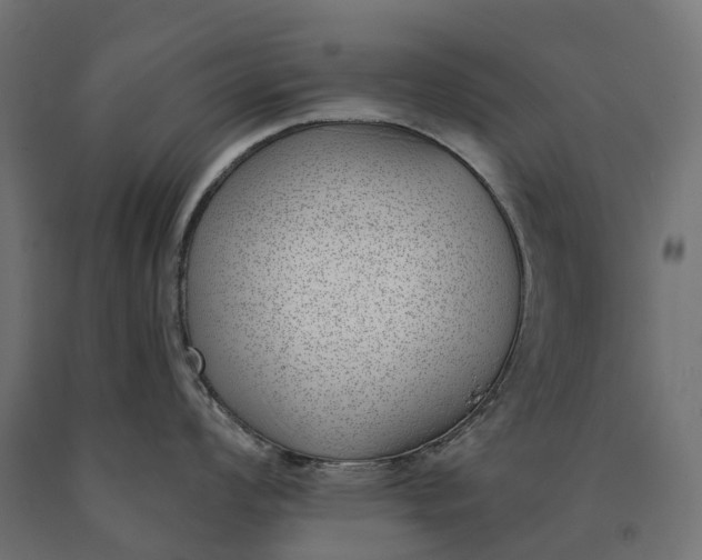 X0000090751008200708031603