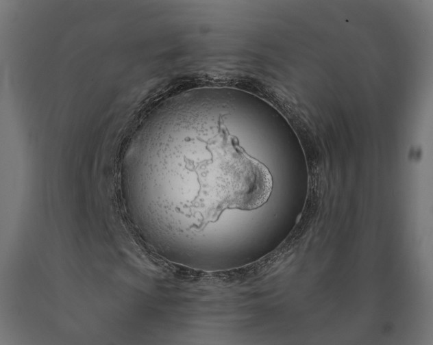 X0000090751009200708031603