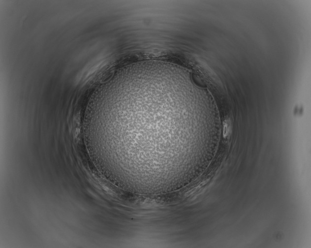 X0000090751011200708031603