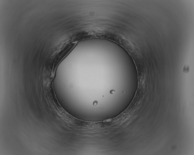 X0000090751012200708031603