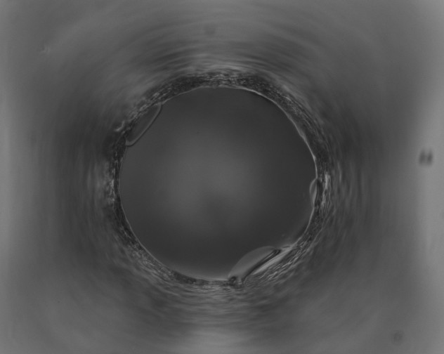 X0000090751013200708031603