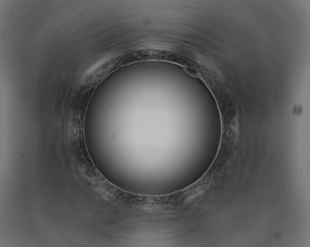 X0000090751014200708031603