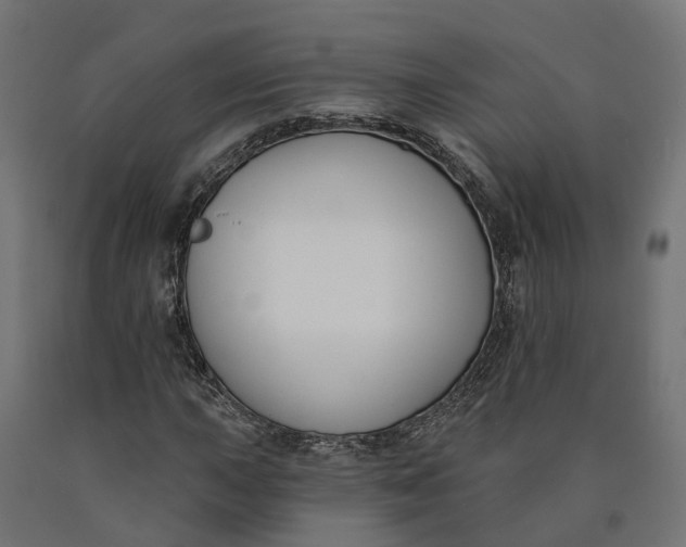 X0000090751015200708031603