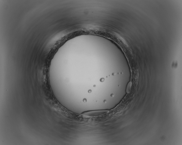 X0000090751016200708031603