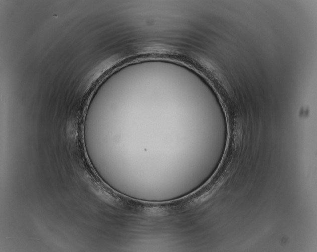 X0000090751017200708031603