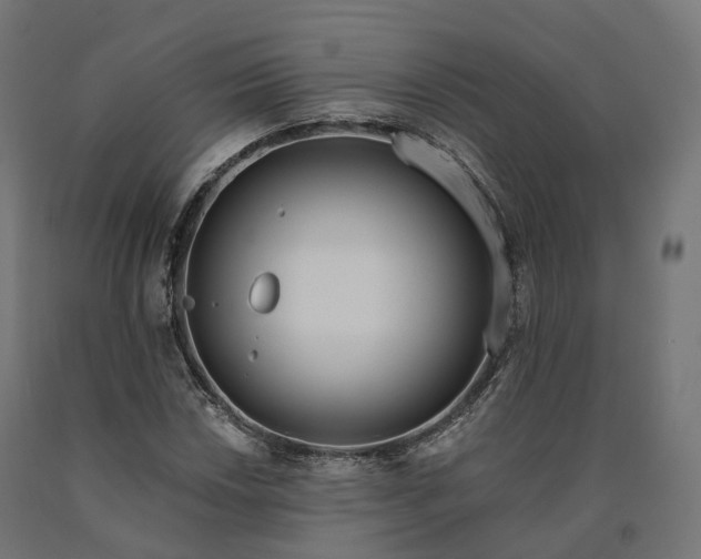 X0000090751018200708031603