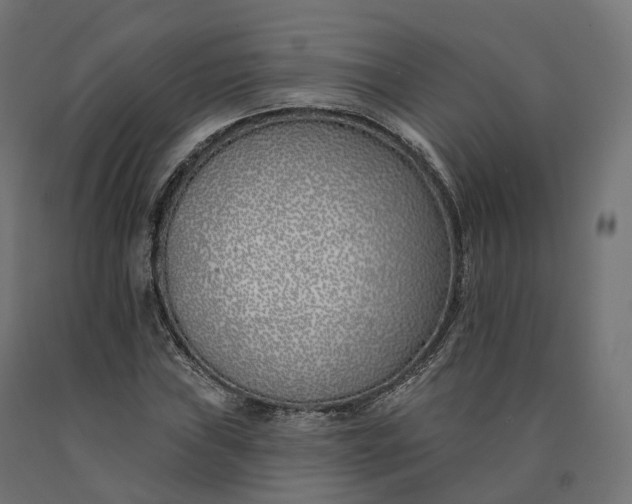 X0000090751019200708031603