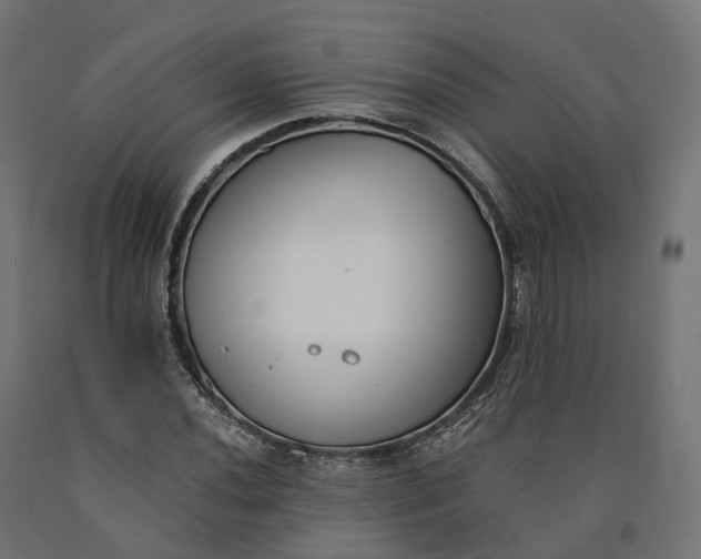 X0000090751020200708031603