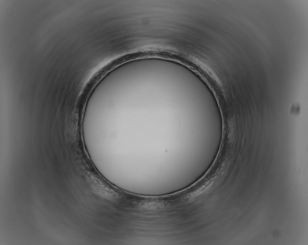 X0000090751021200708031603