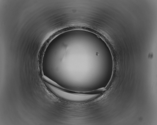 X0000090751022200708031603