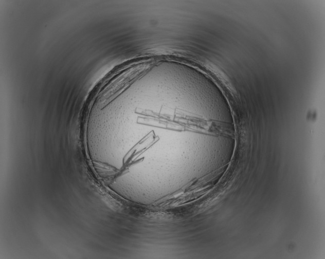 X0000090751023200708031603