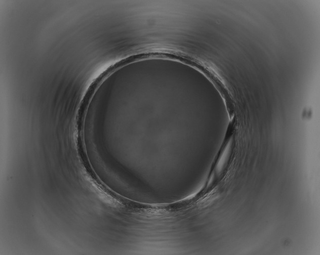 X0000090751024200708031603