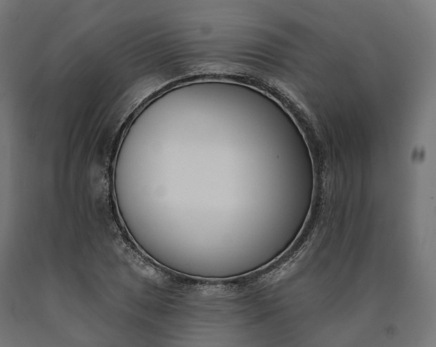 X0000090751025200708031603