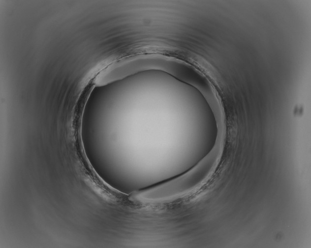 X0000090751026200708031603