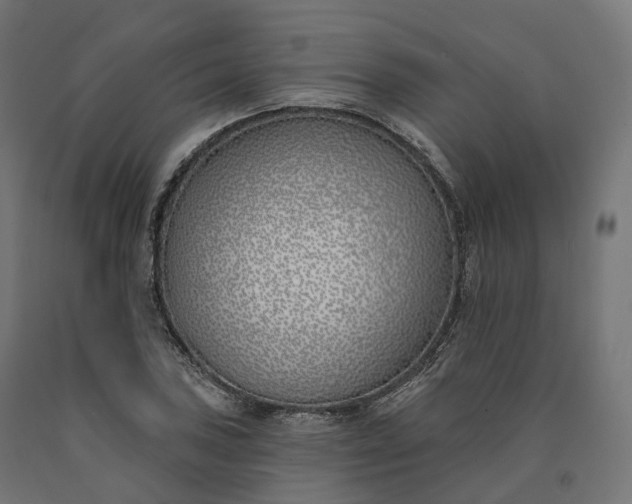 X0000090751027200708031603